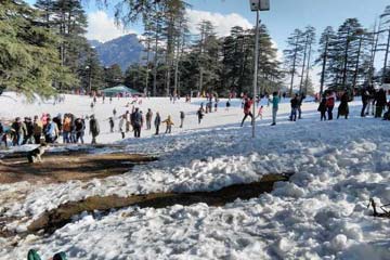 Patnitop Taxi Service